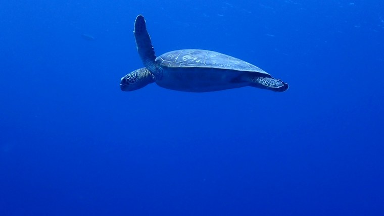 2本目エントリー